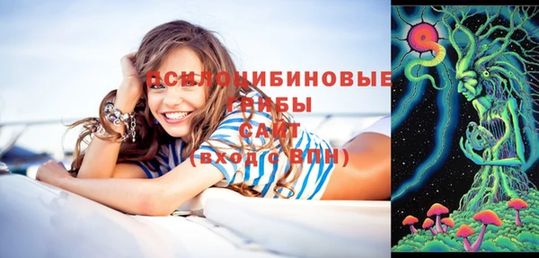 эйфоретик Гусев