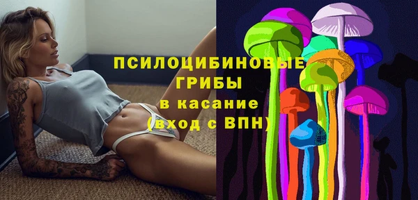 синтетический гашиш Шарыпово