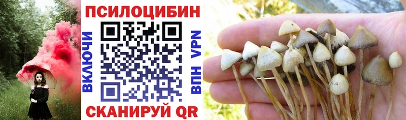 Псилоцибиновые грибы ЛСД  Певек 
